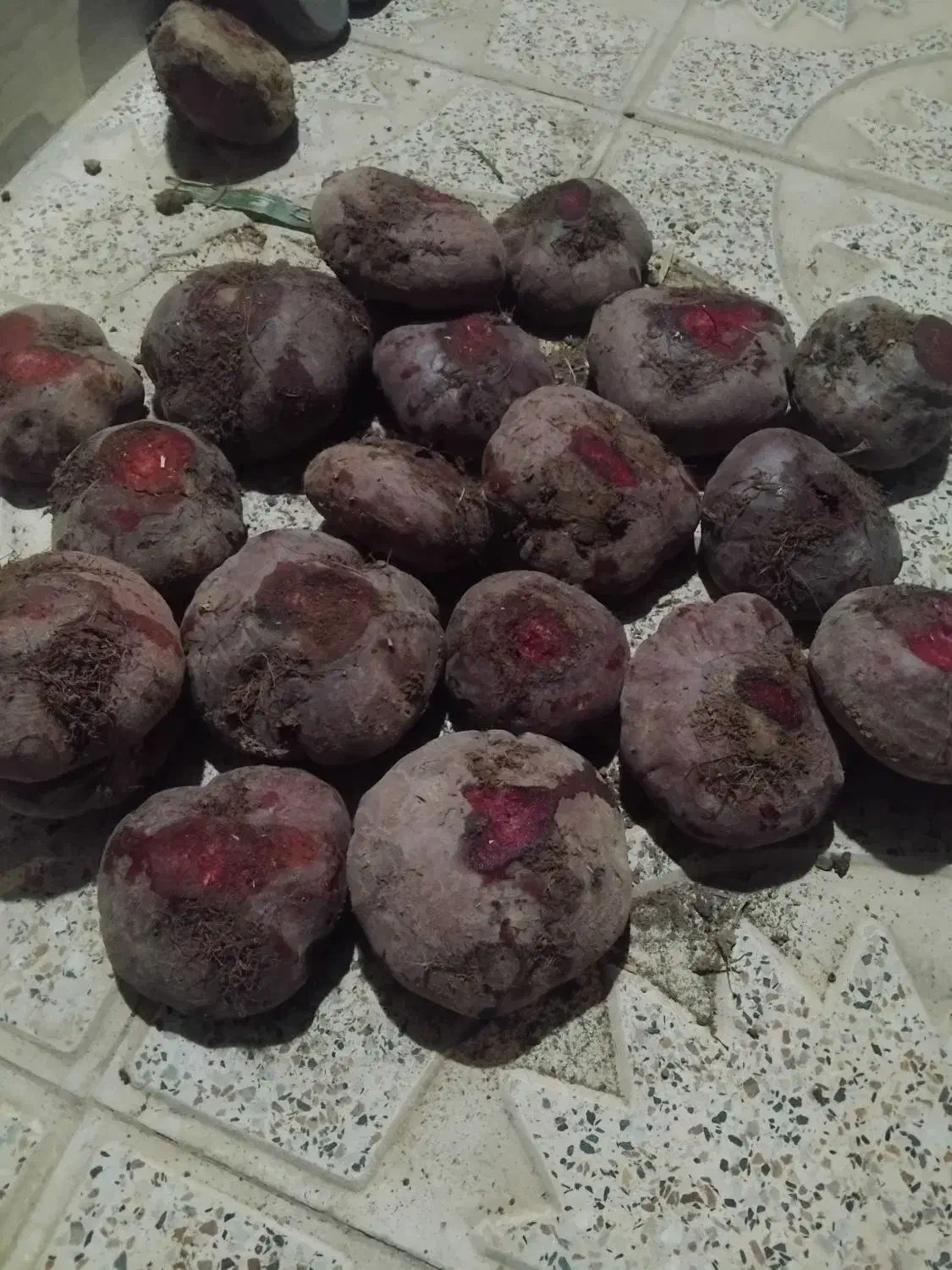 لبو‌درجه‌یک‌|خوردنی و آشامیدنی|دشتابی, |دیوار