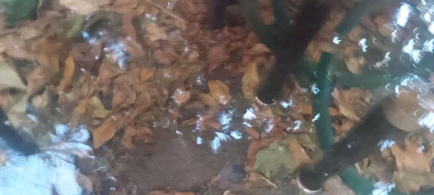 میز شیشه ای|بوفه، ویترین، کنسول|لواسان, |دیوار