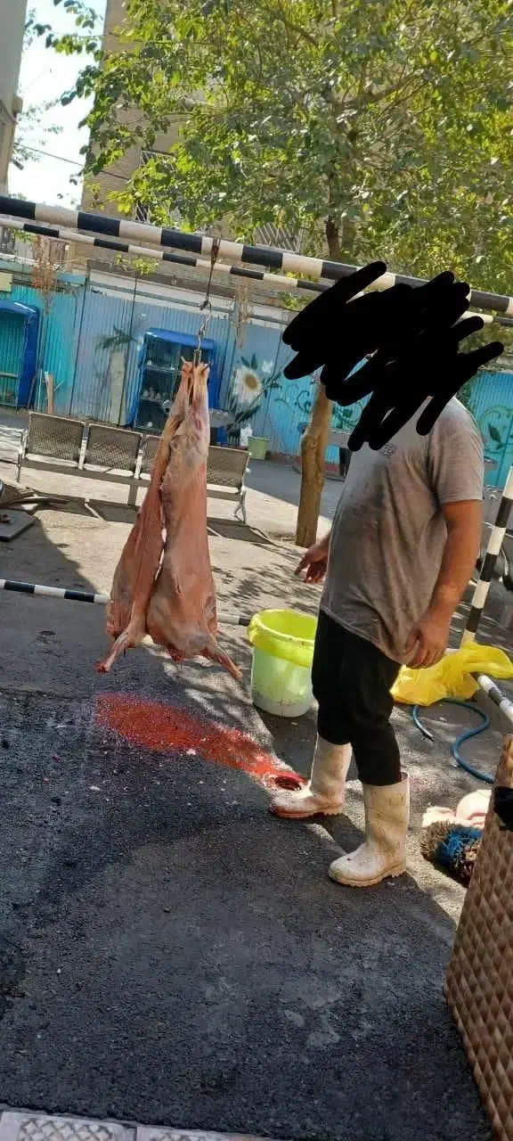 قصاب سیار|خوردنی و آشامیدنی|تهران, علم و صنعت|دیوار