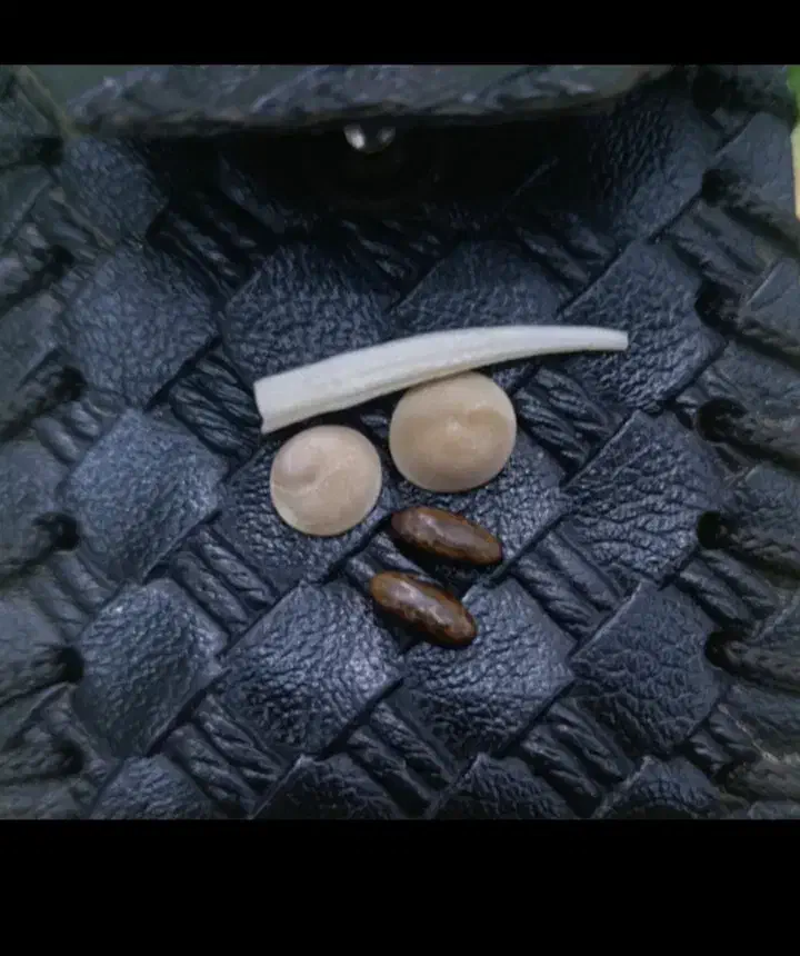 مهره|کلکسیون اشیاء عتیقه|یاسوج, |دیوار