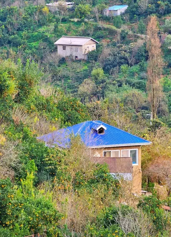 خونه باغ روستایی|فروش زمین و ملک کلنگی|شیرود, |دیوار