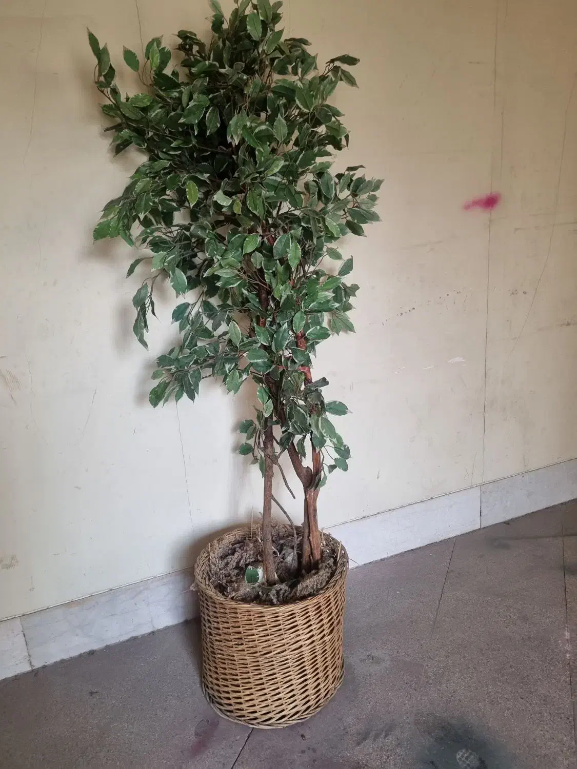 درختچه مصنوعی|گل مصنوعی|تهران, محمودیه|دیوار