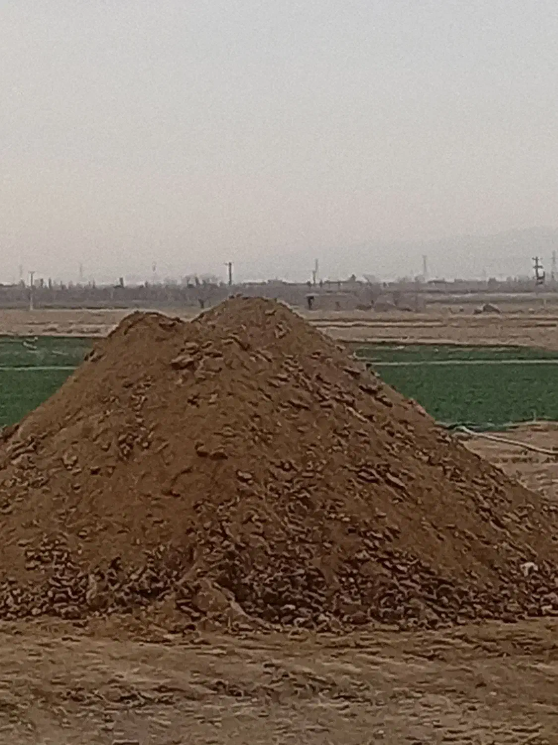 بار گاویی  وبار گوسفندی. خشک|خدمات باغبانی و درختکاری|چناران, |دیوار