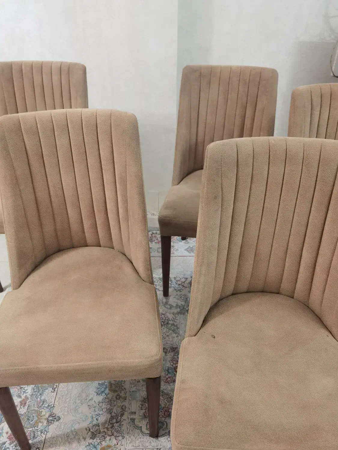 7عدد صندلی ناهار خوری سالم|میز و صندلی غذاخوری|پرند, فاز ۳|دیوار