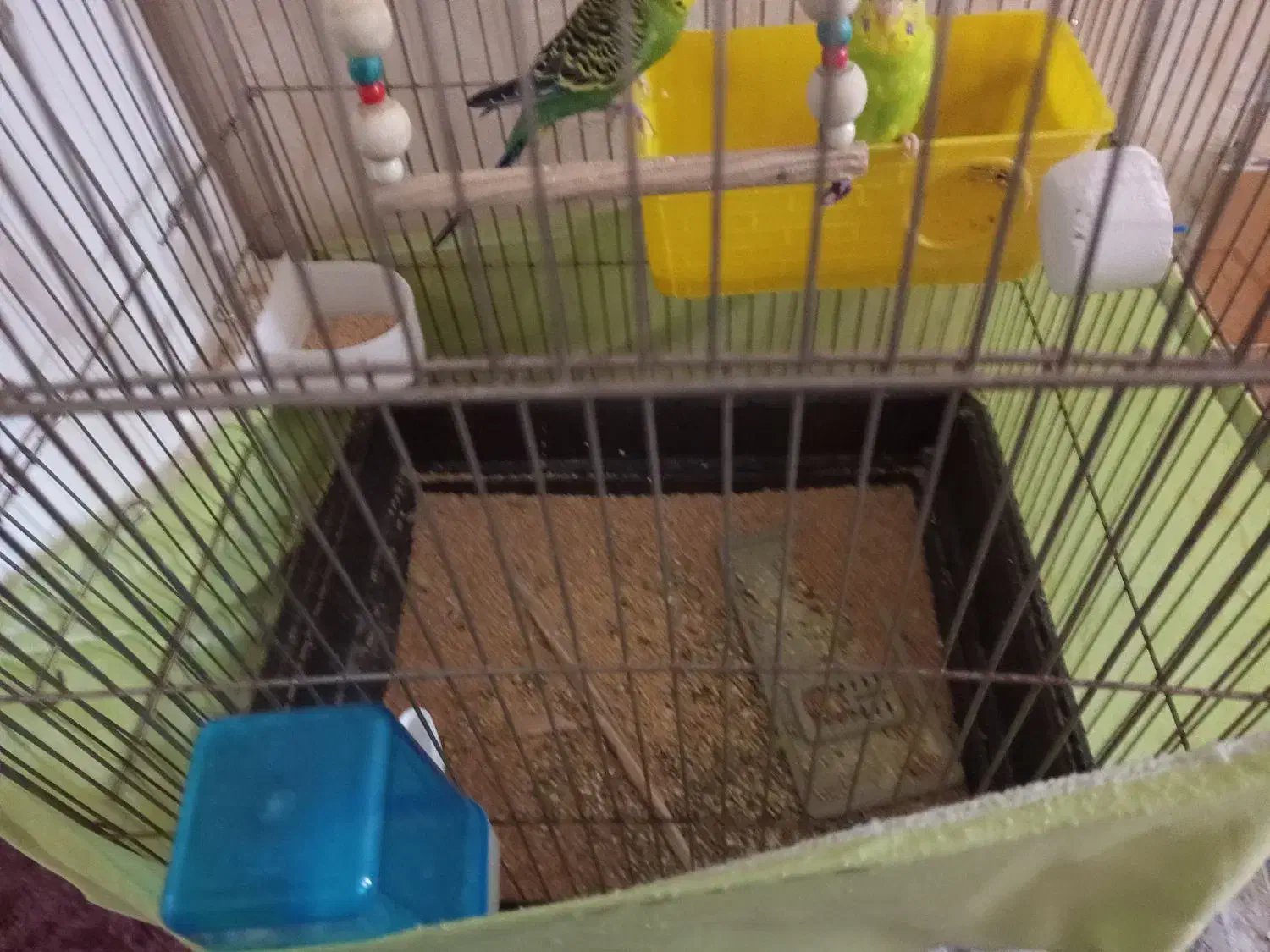 قفس|لوازم جانبی حیوانات|باقرشهر, |دیوار