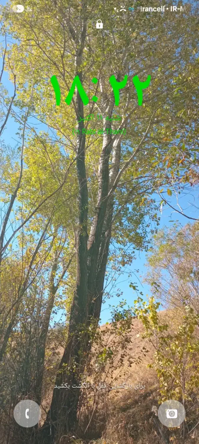 خرید انواع درخت و چوب|خدمات باغبانی و درختکاری|سلطانیه, |دیوار