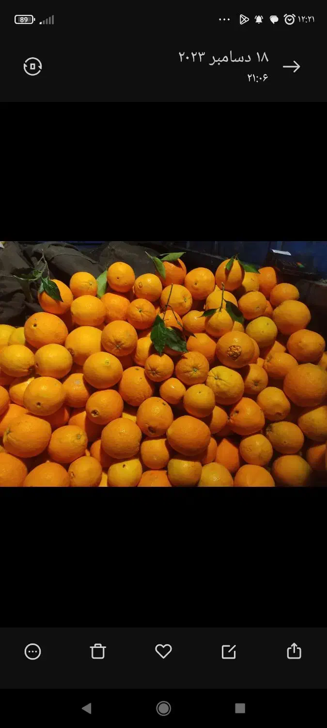 نارنگی ضعیف و ضایعات وسنگ پا|حراج|ساری, |دیوار