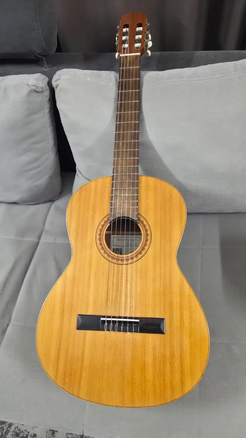 manuel rodriguez گیتار|گیتار، بیس، امپلیفایر|تهران, طرشت|دیوار