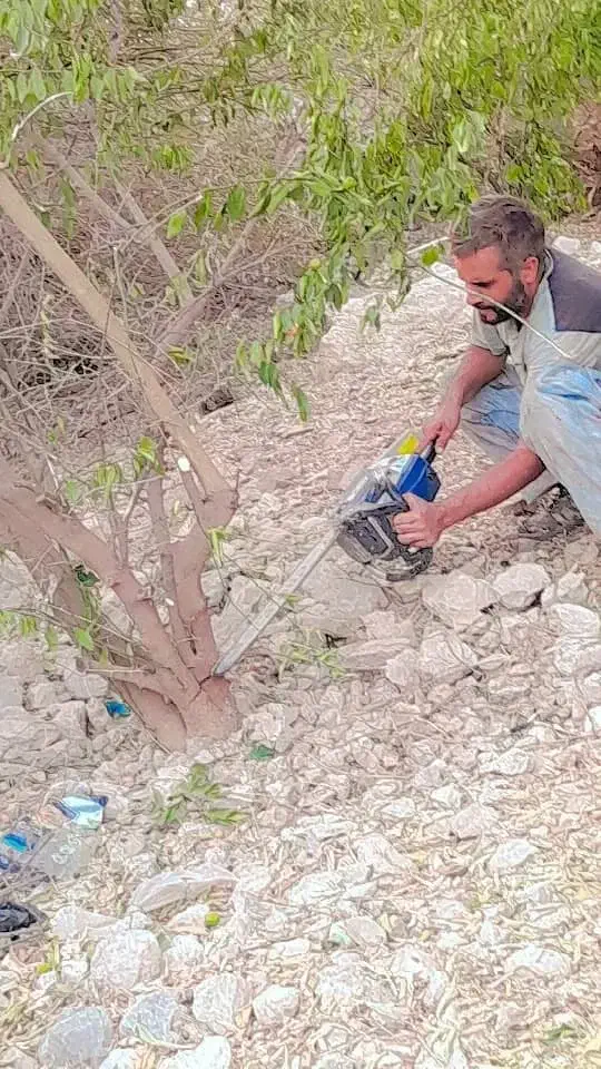 اره برقی|خدمات پیشه و مهارت|دوگنبدان, |دیوار