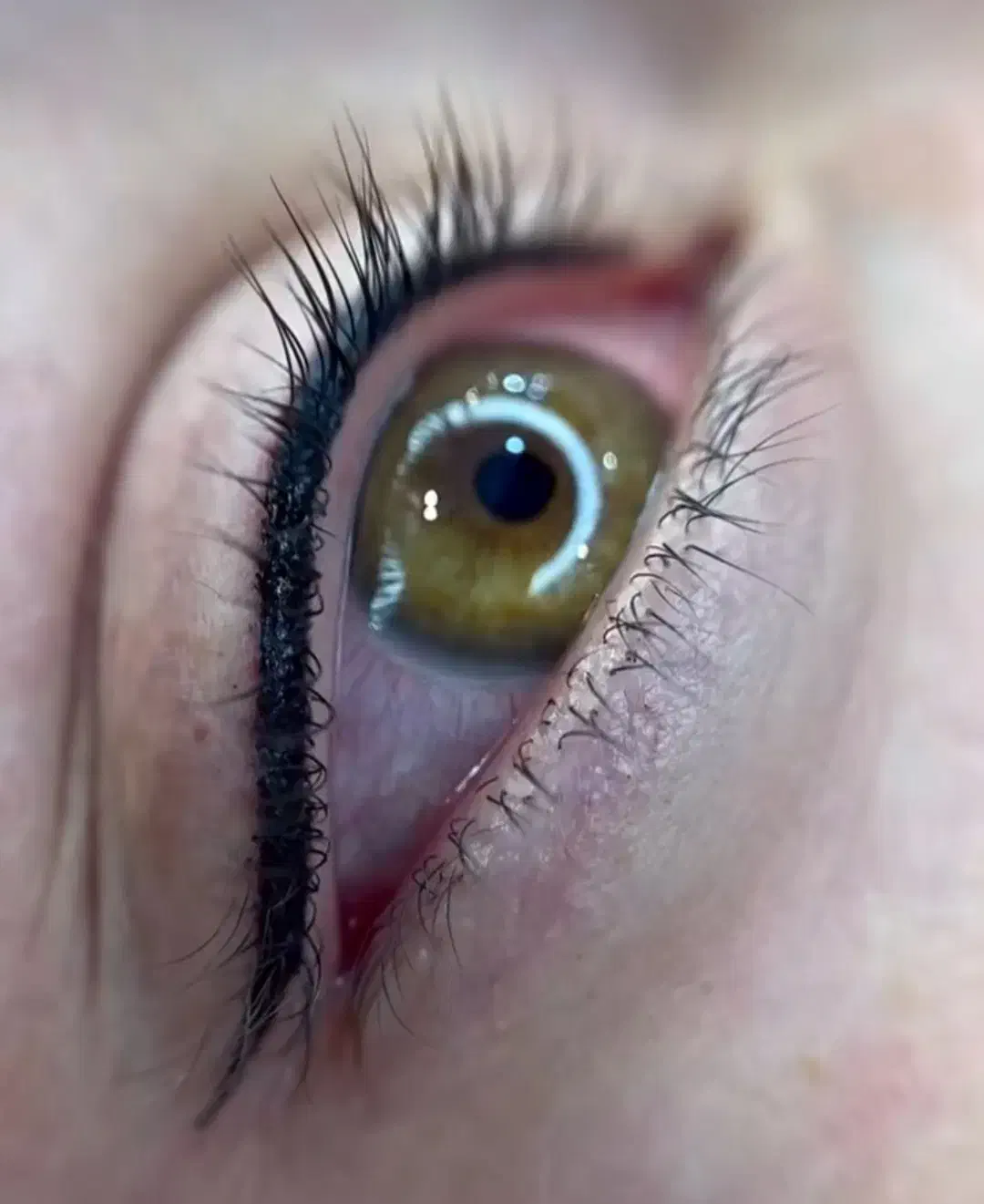 خدمات تتو|خدمات آرایشگری و زیبایی|اهواز, کوی سعدی|دیوار