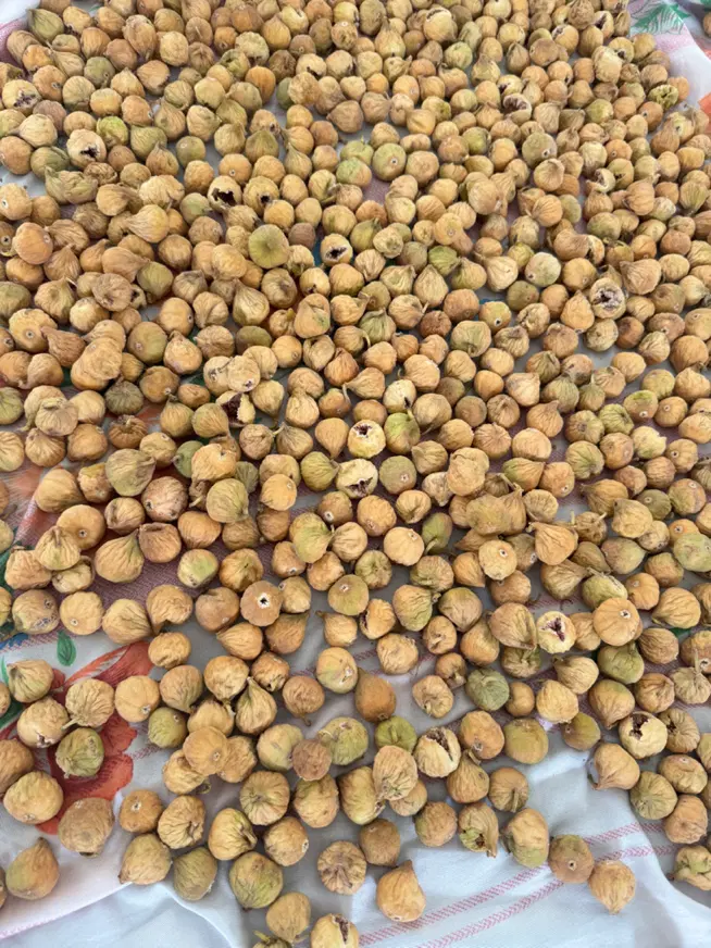 انجیر|خوردنی و آشامیدنی|نی‌ریز, |دیوار