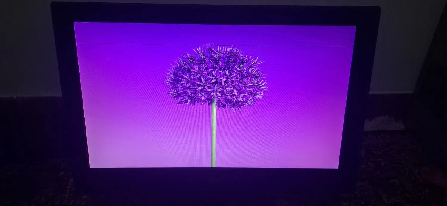 مانیتور|تلویزیون و پروژکتور|رشت, کوی مهر|دیوار