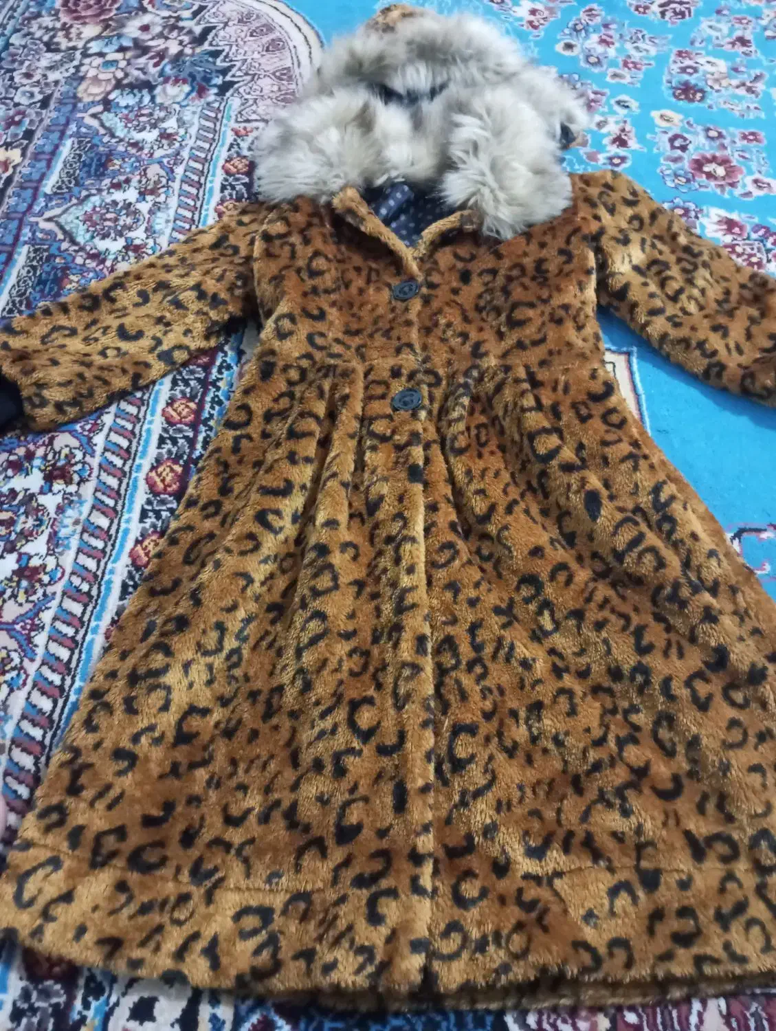 کاپشن دخترانه پلنگی|لباس|نسیمشهر, |دیوار