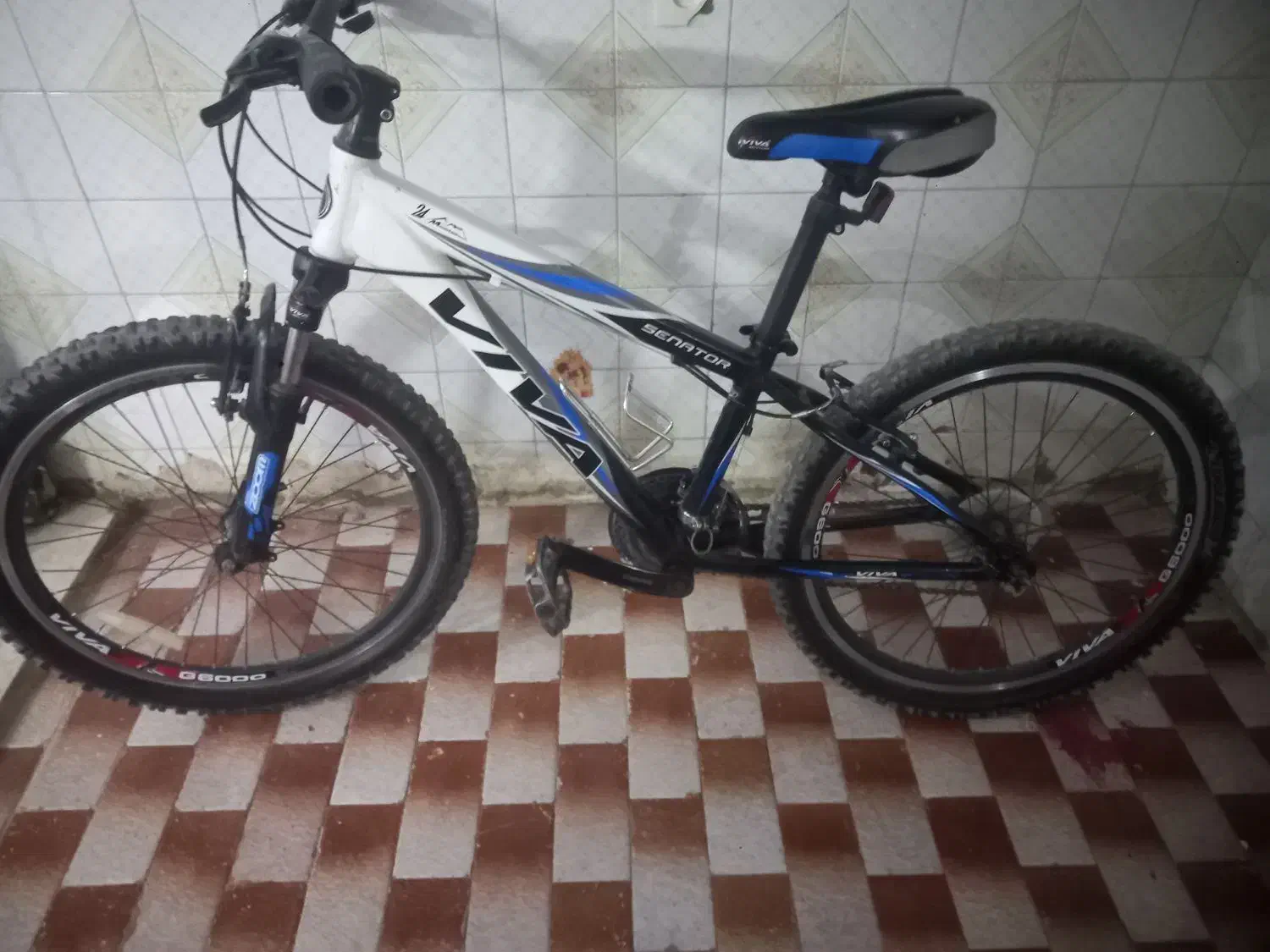 دوچرخه VIVAکوهستان سایز ۲۴|دوچرخه، اسکیت، اسکوتر|یزد, |دیوار