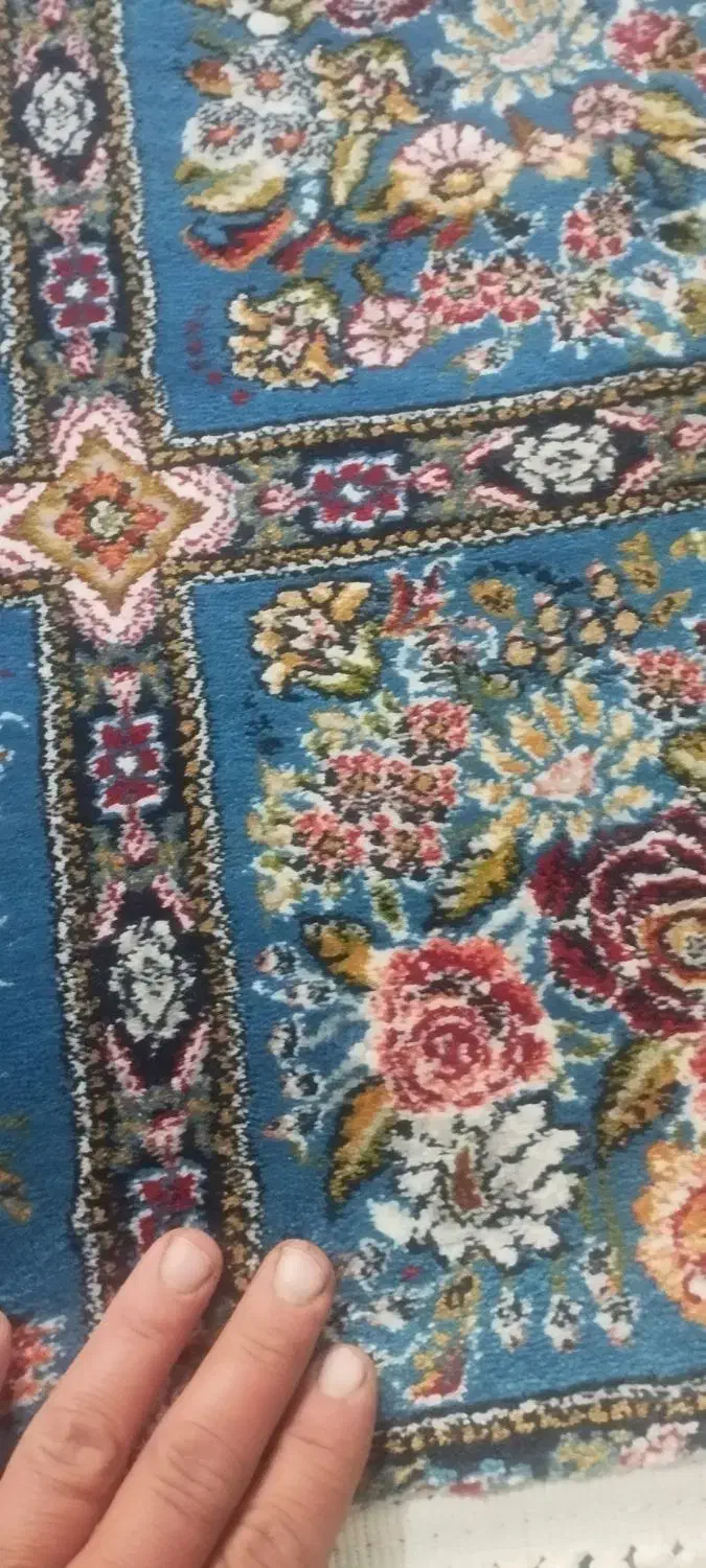 نه متری نو|فرش|فسا, |دیوار