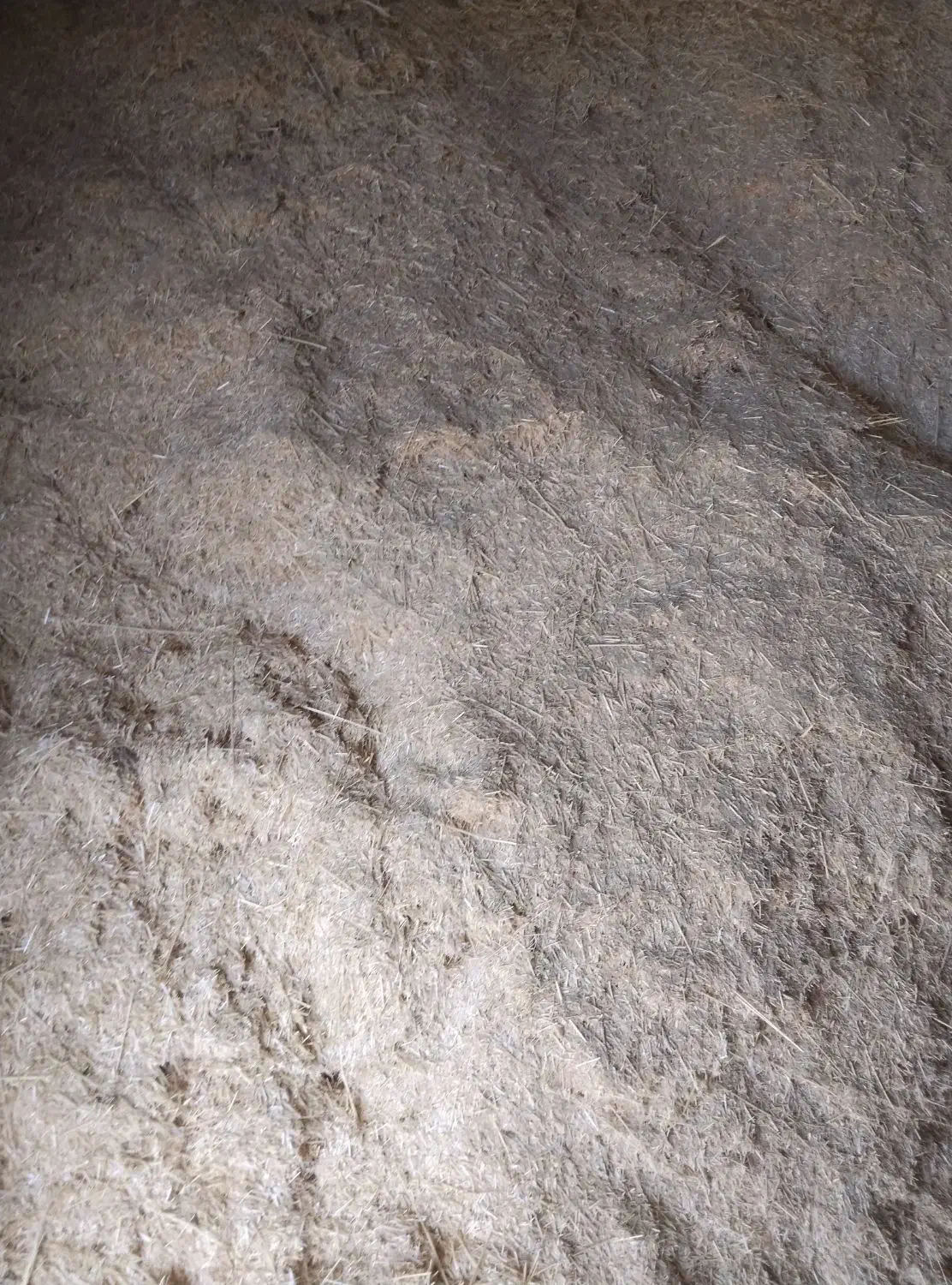 کاه گندم کاه کوب|لوازم جانبی حیوانات|دیواندره, |دیوار