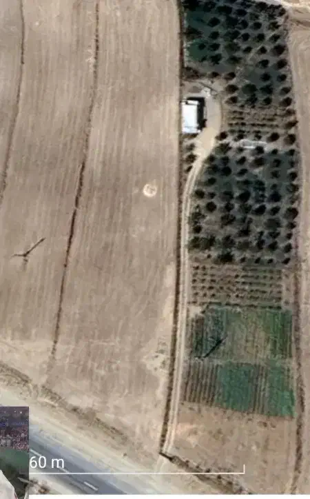 باغ|فروش دفتر صنعتی، کشاورزی، تجاری|زنجان, |دیوار