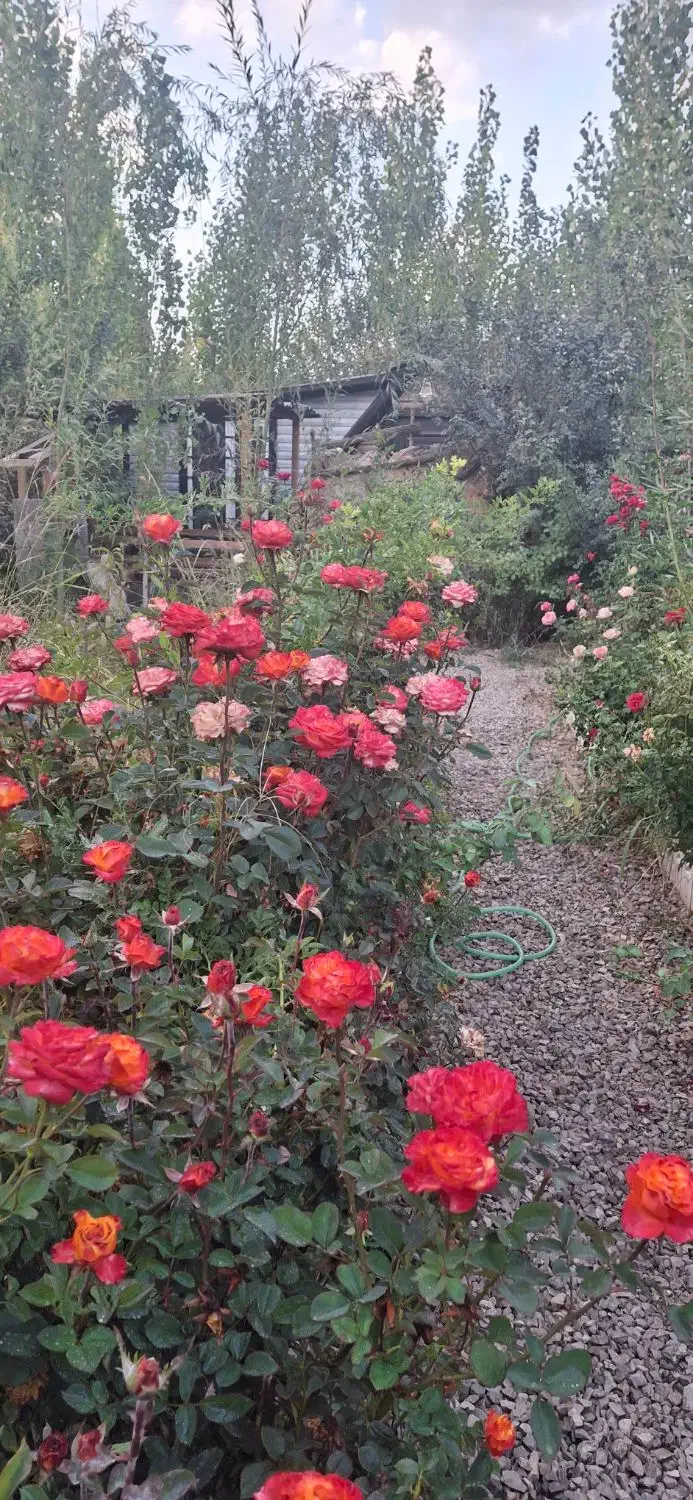 فروش ویلا باغ ۴۰۰متر /بر خیابان اصلی گلدشت/|فروش دفتر صنعتی، کشاورزی، تجاری|بروجرد, |دیوار