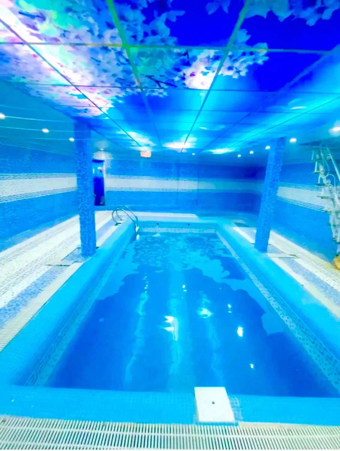 عمارت لوکس تریبلکس دواستخر آبگرم ۲خواب نوساز ۱۴۰۴|اجارهٔ کوتاهمدت ویلا و باغ|نیشابور, گنبد سبز|دیوار