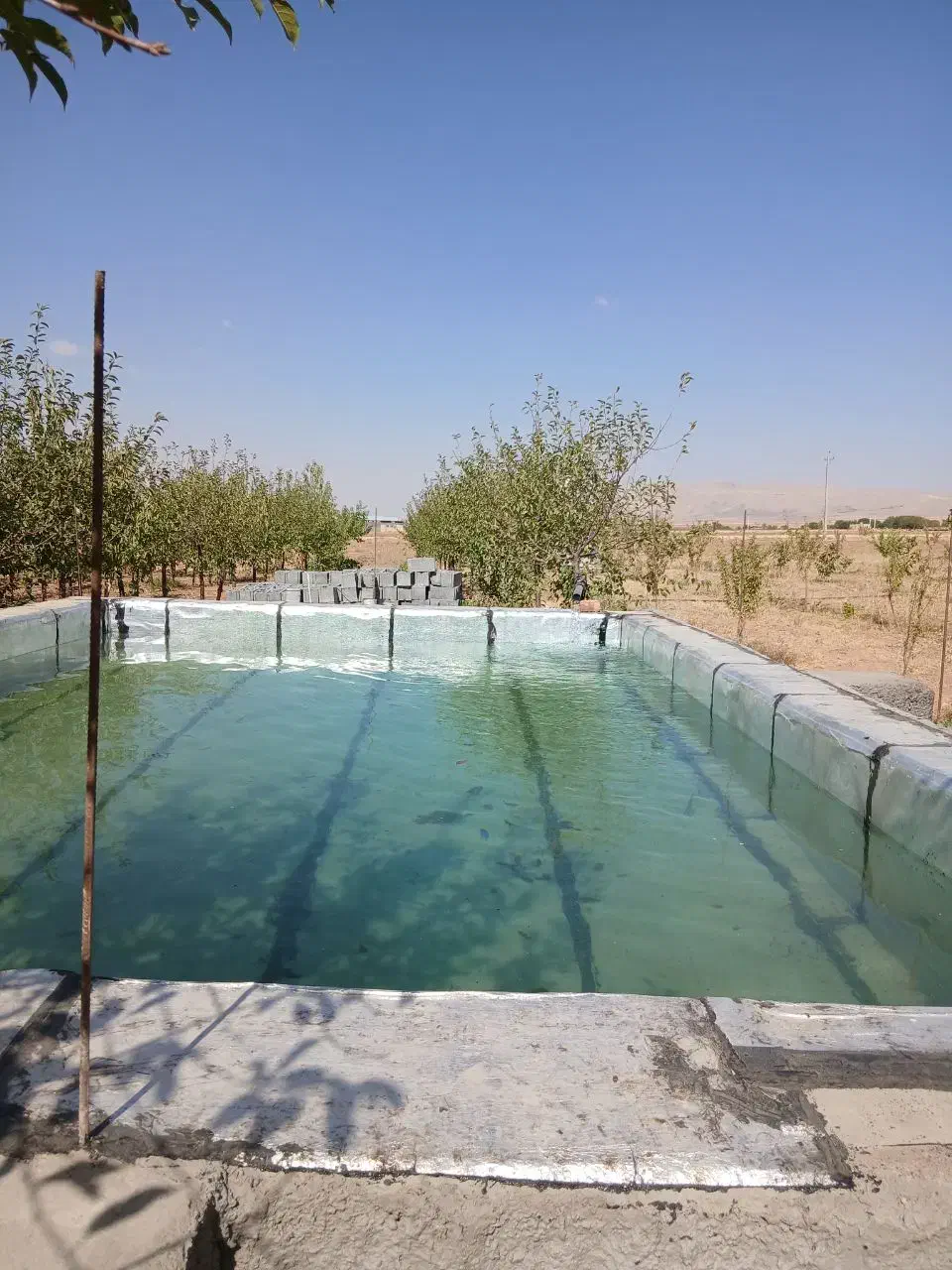 فروش باغ در کمیجان|فروش زمین و ملک کلنگی|کمیجان, |دیوار