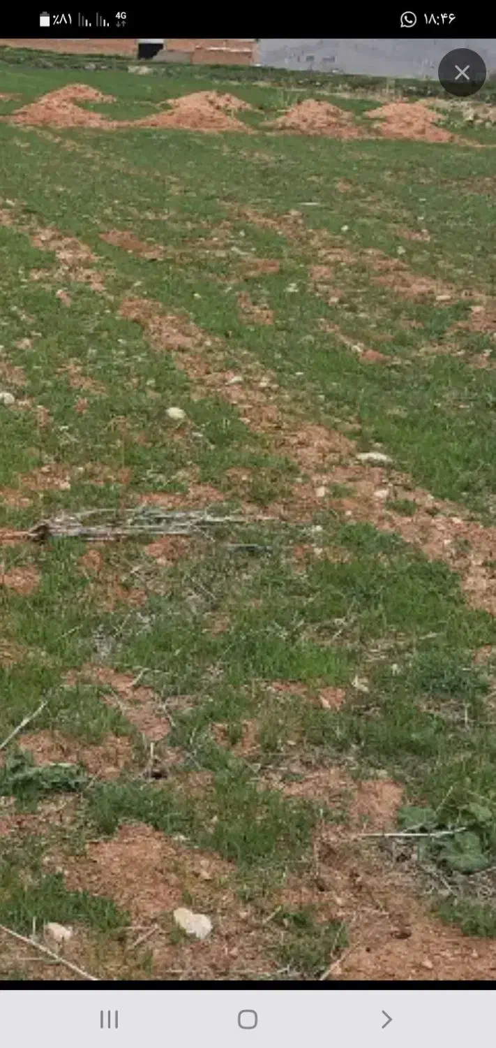 ۲۰۰مترزمین مسکونی کلواری علیا|فروش زمین و ملک کلنگی|فلارد, |دیوار