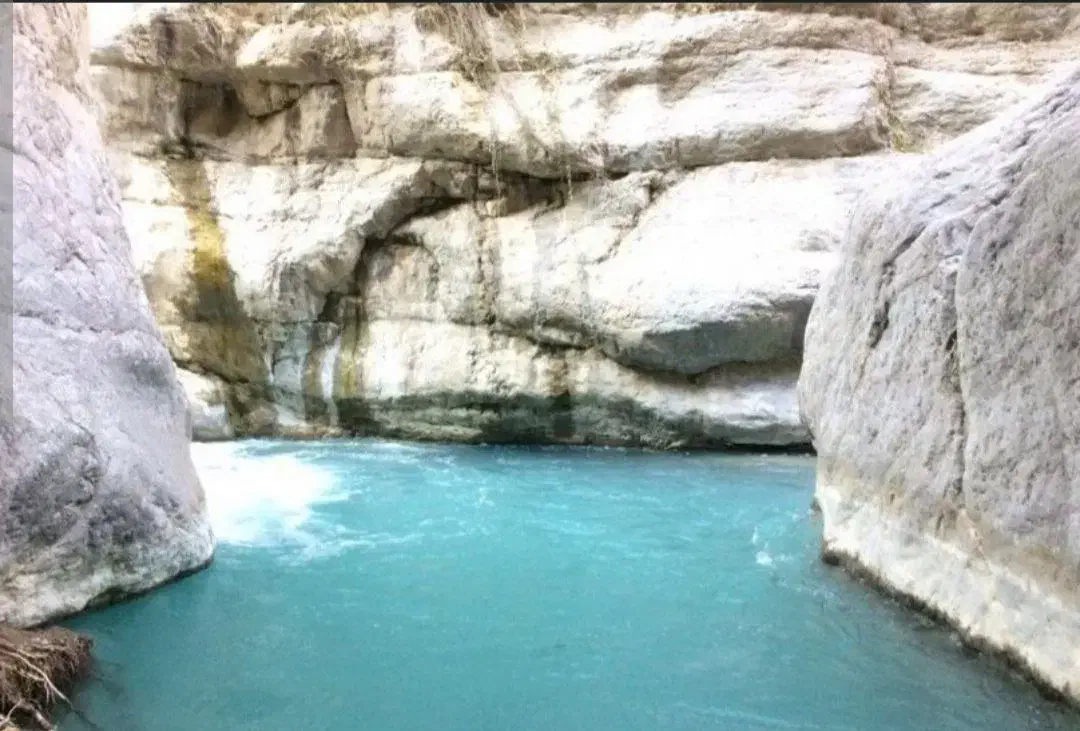 گردش|فعالیت داوطلبانه|قوچان, |دیوار