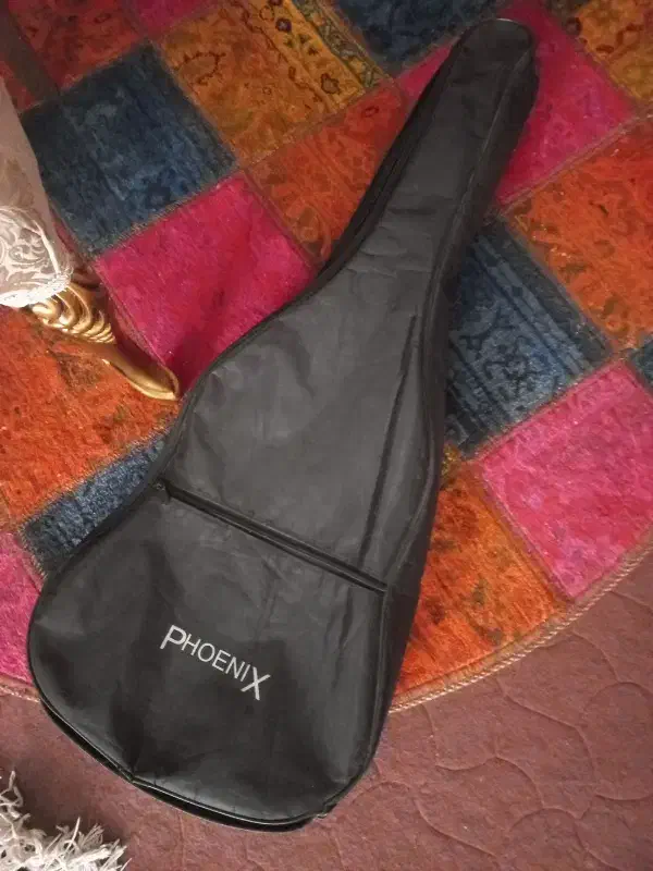 کیف گیتار - کیس گیتار|گیتار، بیس، امپلیفایر|قرچک, شهرک طلائیه|دیوار