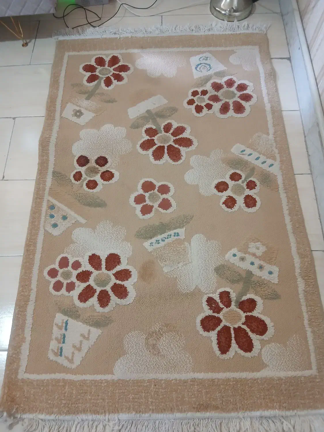 قالیچه گل برجسته دو تاجاش سوختگی داره|فرش|پاکدشت, پاکدشت (مامازند)|دیوار