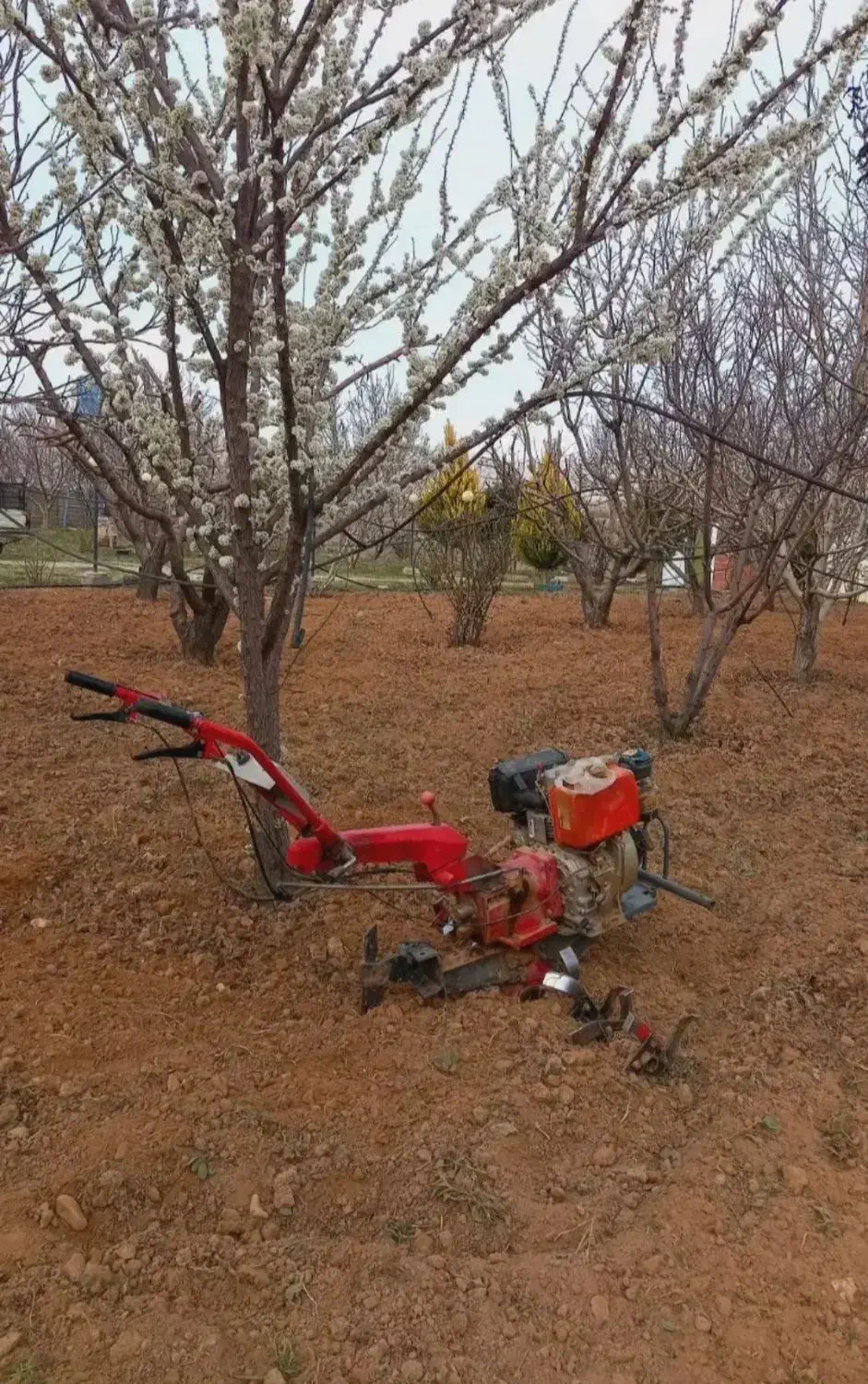 شخم‌زدن‌باتیلر|خدمات باغبانی و درختکاری|سبزوار, توحیدشهر|دیوار