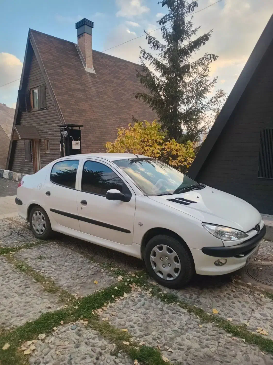 206sd v 10 اریان اصل فرانسه|خودرو سواری و وانت|شمشک, |دیوار