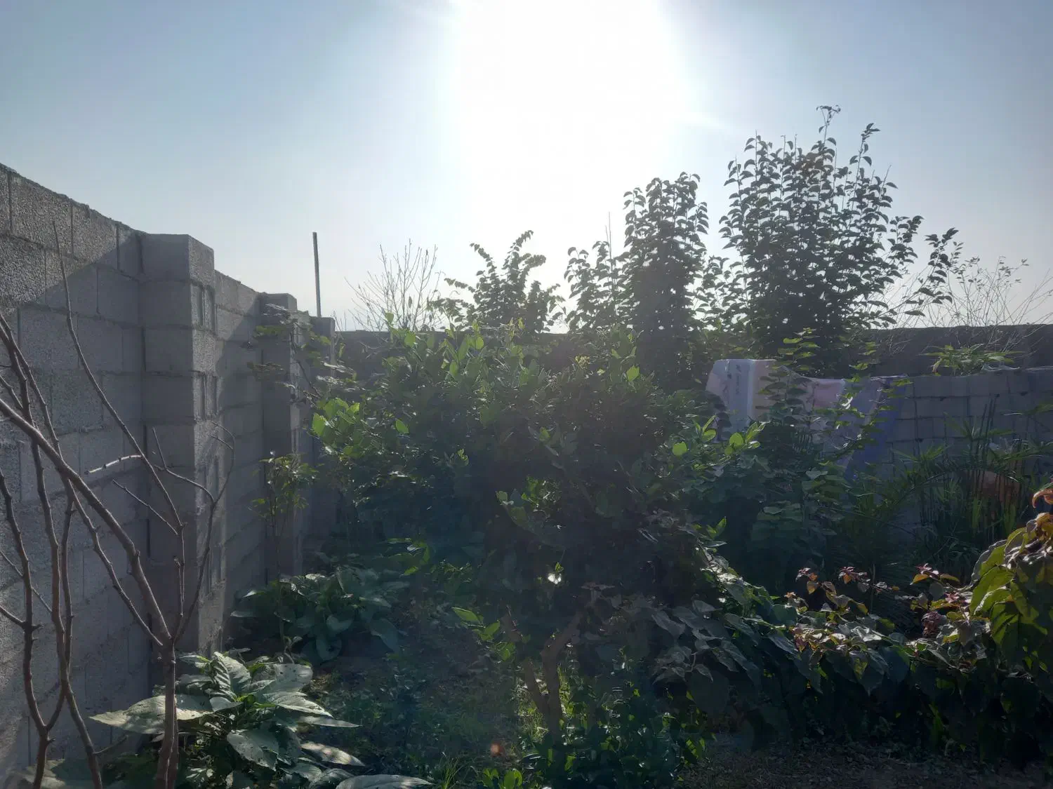 فروش فوری خونه ویلایی زیر قیمت|فروش خانه و ویلا|شفت, |دیوار