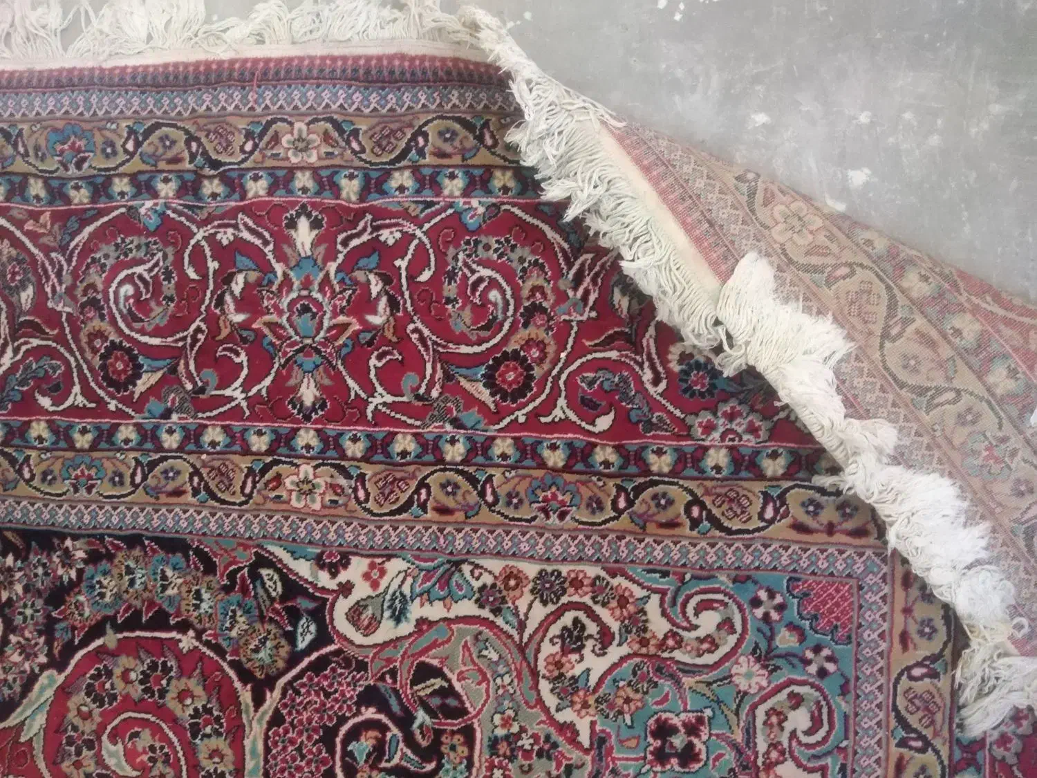 فرش نو|فرش|مشهد, گلشور|دیوار