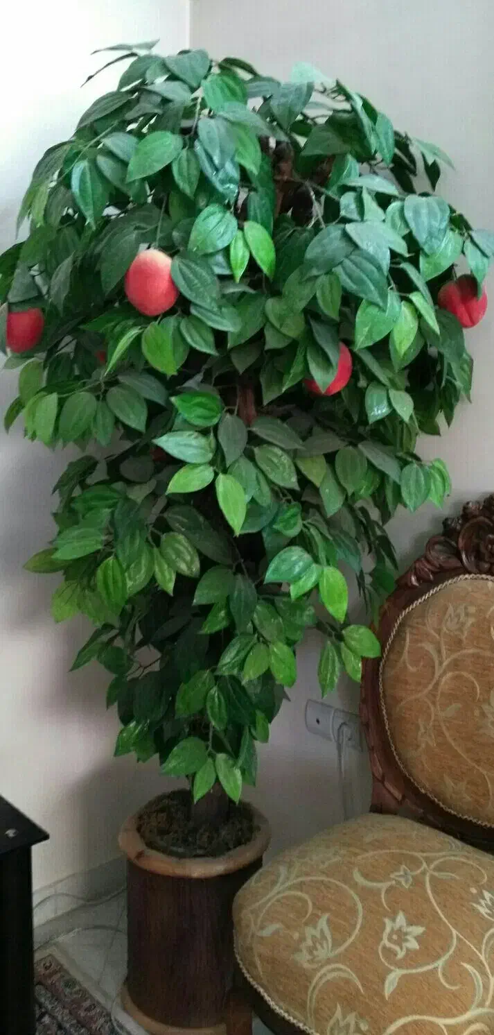 درخت هلو مصنوعی|گل مصنوعی|مشهد, بهاران|دیوار