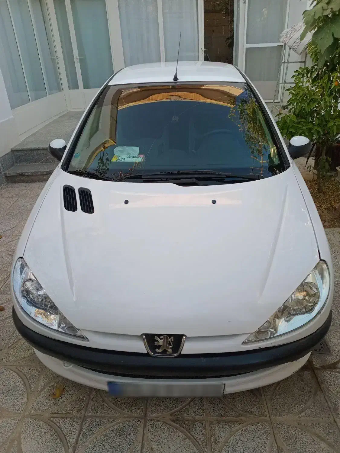 پژو 206 SD V8|خودرو سواری و وانت|اصفهان, برزان|دیوار