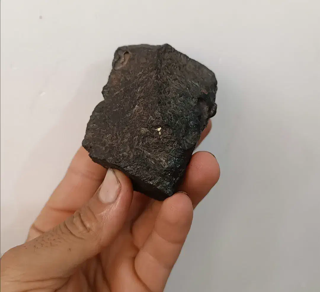 شهاب سنگ الماس سیاه|کلکسیون اشیاء عتیقه|تربت‌حیدریه, باغ سلطانی|دیوار