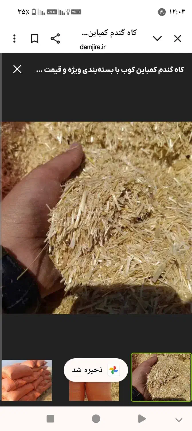 فروش کاه 650کیلو چکی تا اول ماه|خدمات باغبانی و درختکاری|قهستان, |دیوار