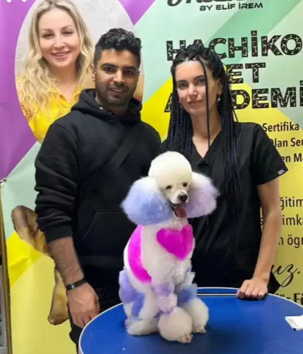 آموزش آرایشگری حیوانات/ آرایشگر حیوانات|خدمات آموزشی|کرج, اتحاد|دیوار