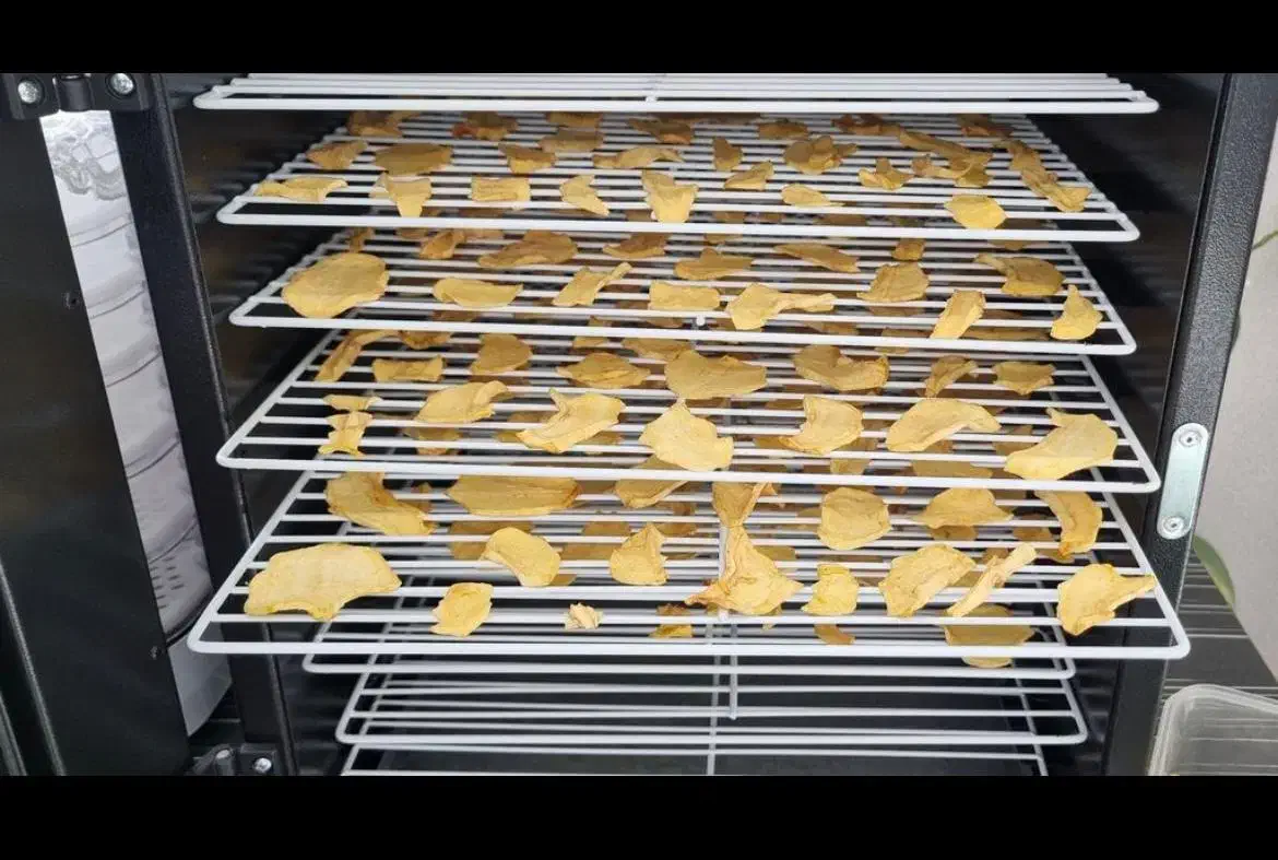 دستگاه میوه و سبزی خشکن|سایر لوازم برقی|کرمان, |دیوار