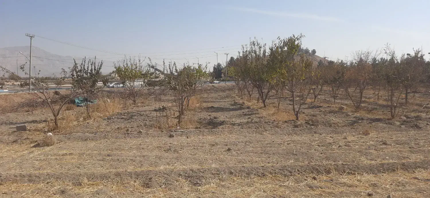 فروش زمین کشاورزی ورودی اصلی شهر۵۵۰متر|فروش زمین و ملک کلنگی|پیر بکران, |دیوار