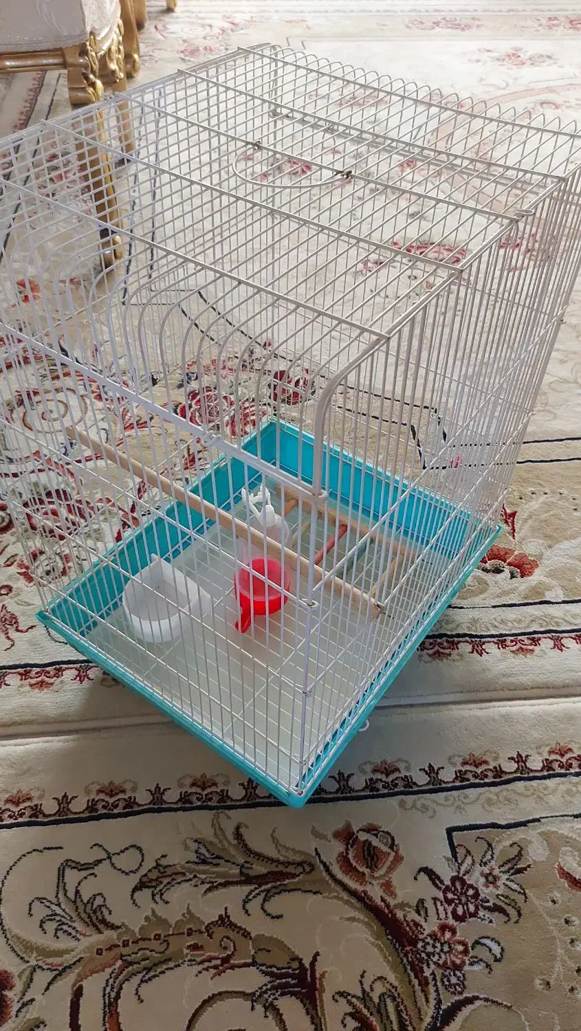 قفس پرنده|لوازم جانبی حیوانات|مشکیندشت, |دیوار