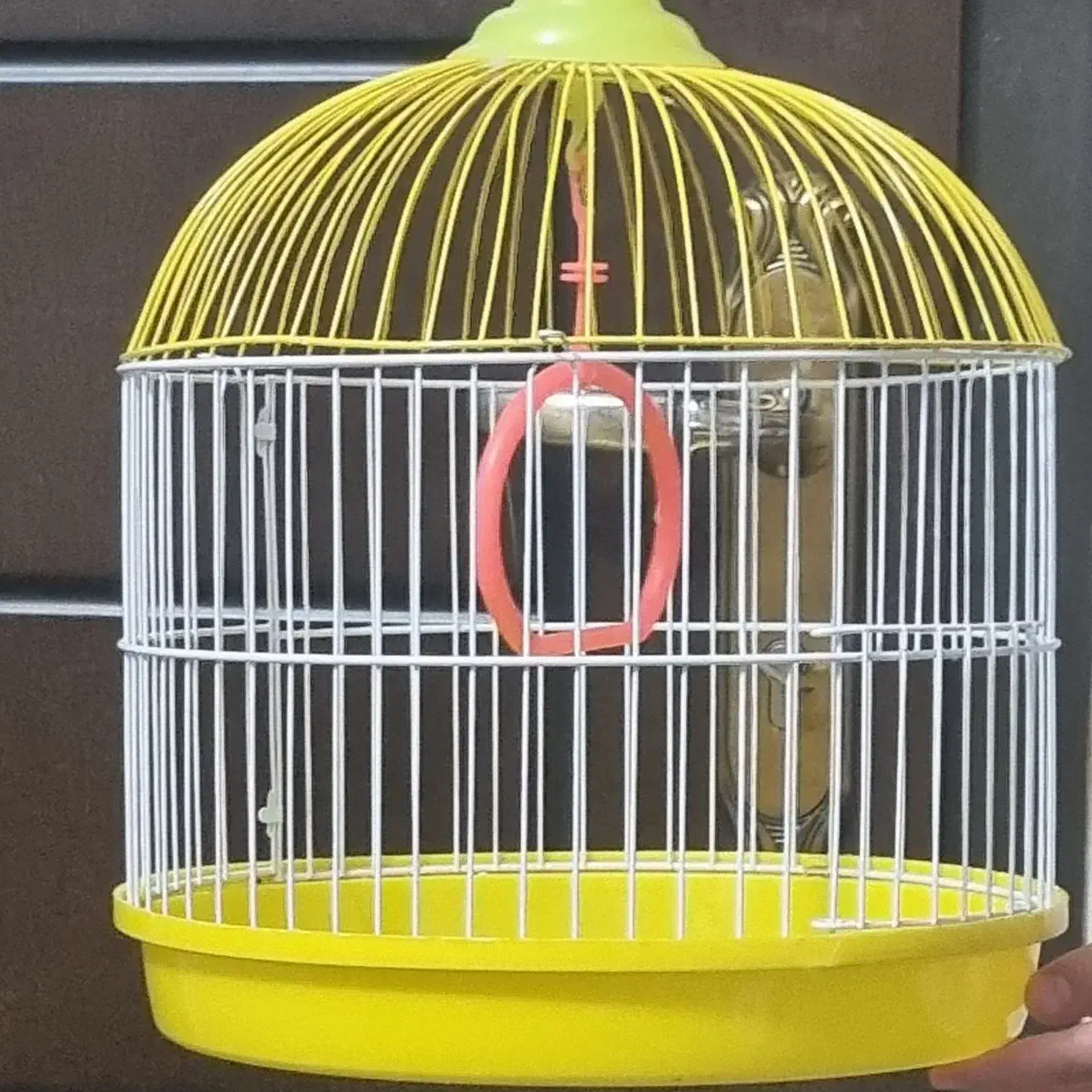 قفس کوچک پرنده|لوازم جانبی حیوانات|قم, شهرک قدس|دیوار