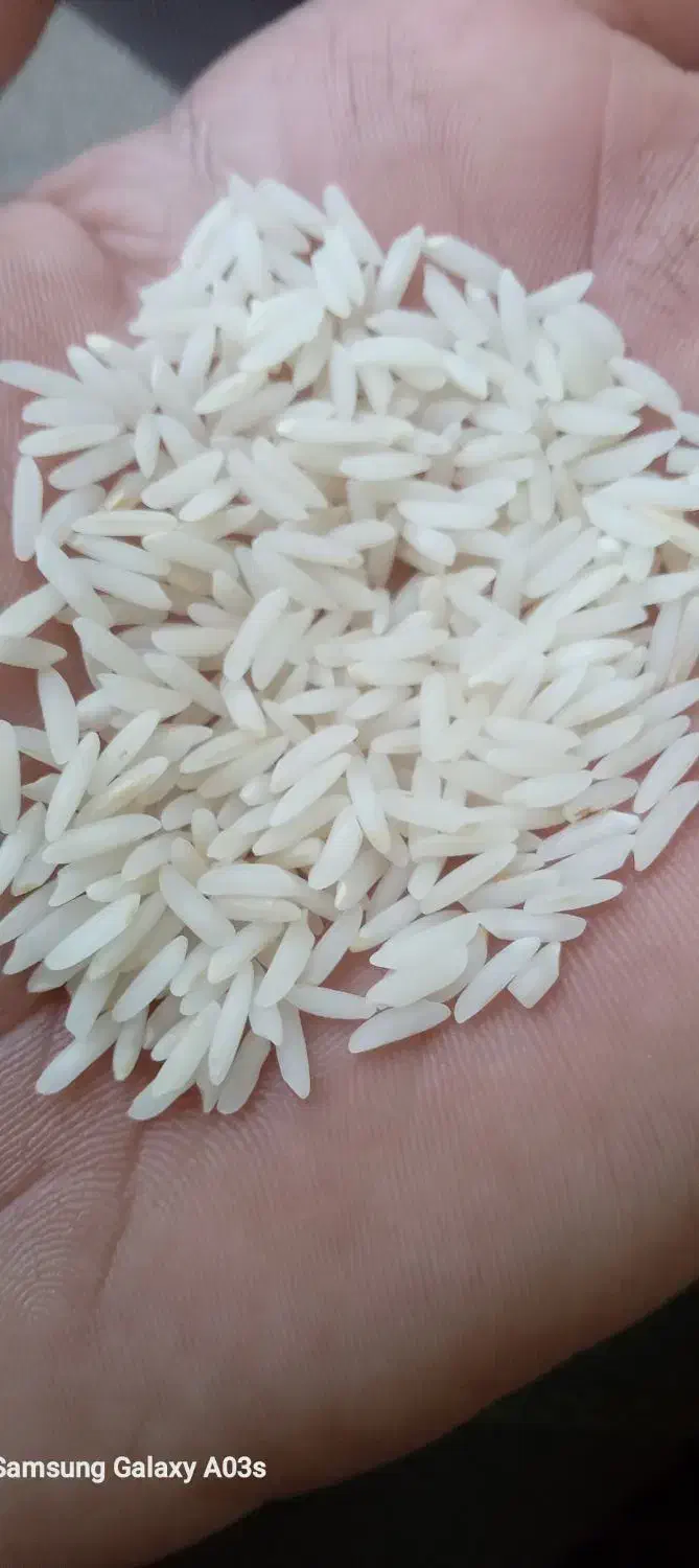 طارم هاشمی محلی اصل.|خوردنی و آشامیدنی|تهران, بوستان سرخه حصار|دیوار