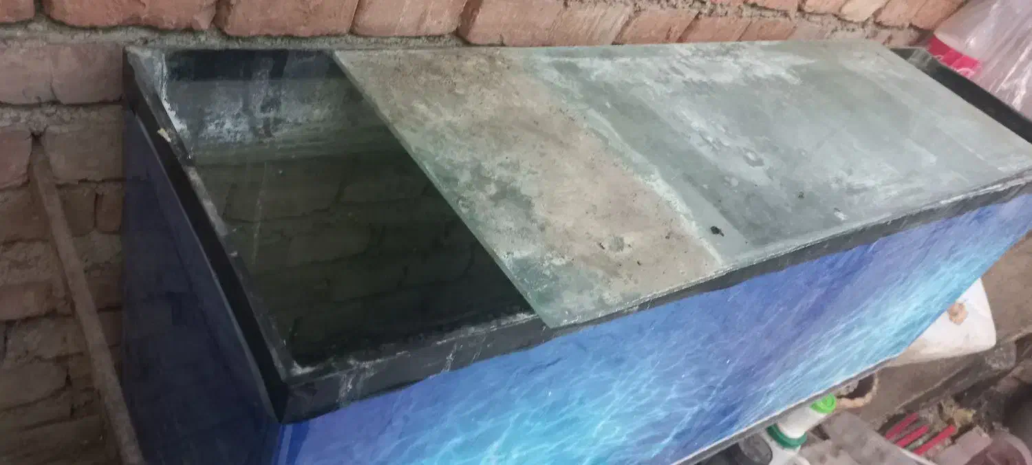 آکواریوم|ماهی|مرند, |دیوار