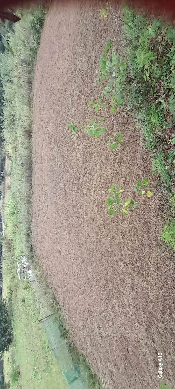 زمین متراژ ۳۰۰متری مسکونی و متراژ ۴۰۰ متری باغی|فروش زمین و ملک کلنگی|ماکلوان, |دیوار