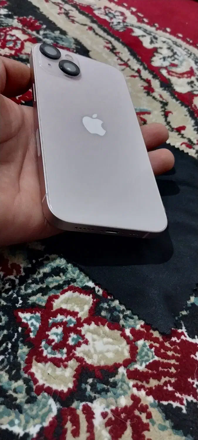 ایفون ۱۳ نرمال|موبایل|شوش, |دیوار