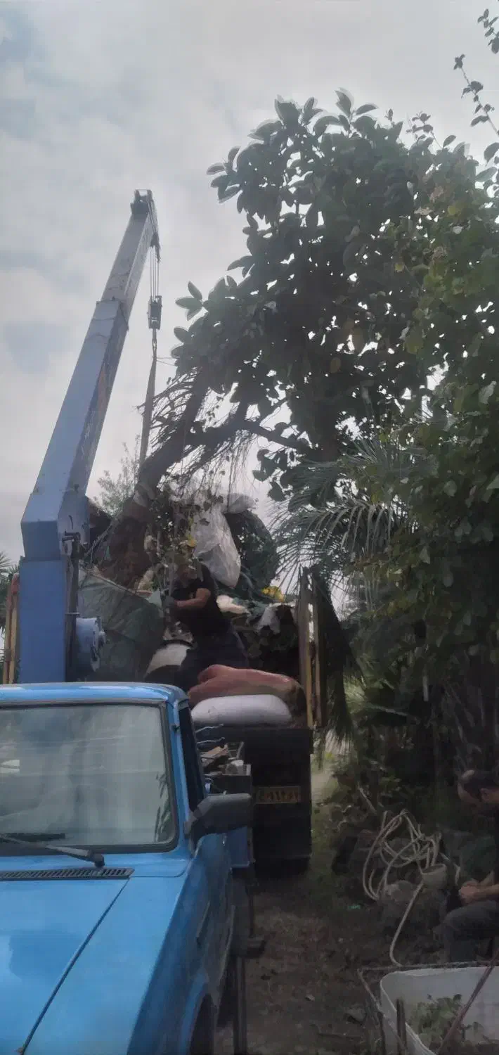 خدمات جرثقیل نیسان رضایی|خدمات حمل و نقل|رودسر, |دیوار