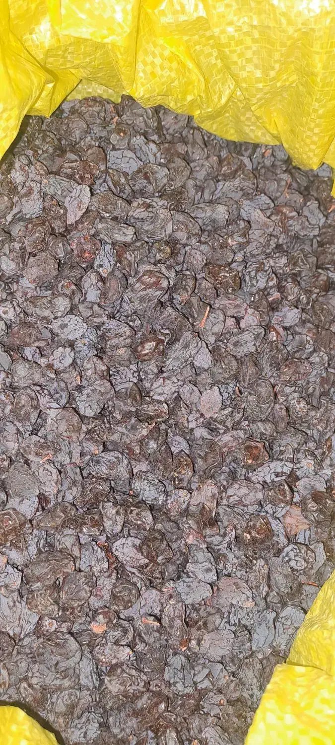 مویز انگور بش|خوردنی و آشامیدنی|شیراز, معالی‌آباد|دیوار