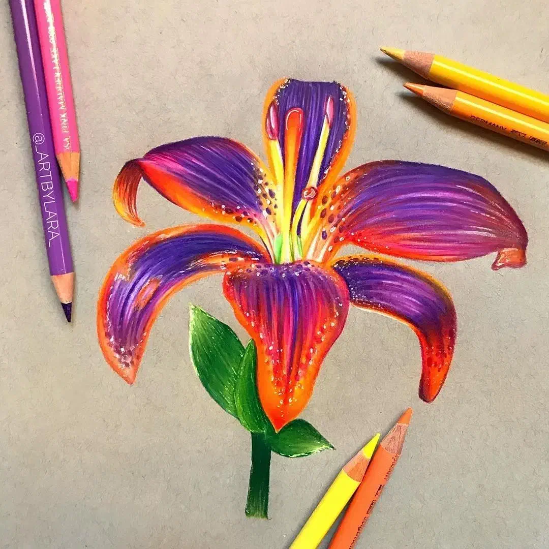 آموزش نقاشی از کودک تا بزرگسال|خدمات آموزشی|رامهرمز, |دیوار