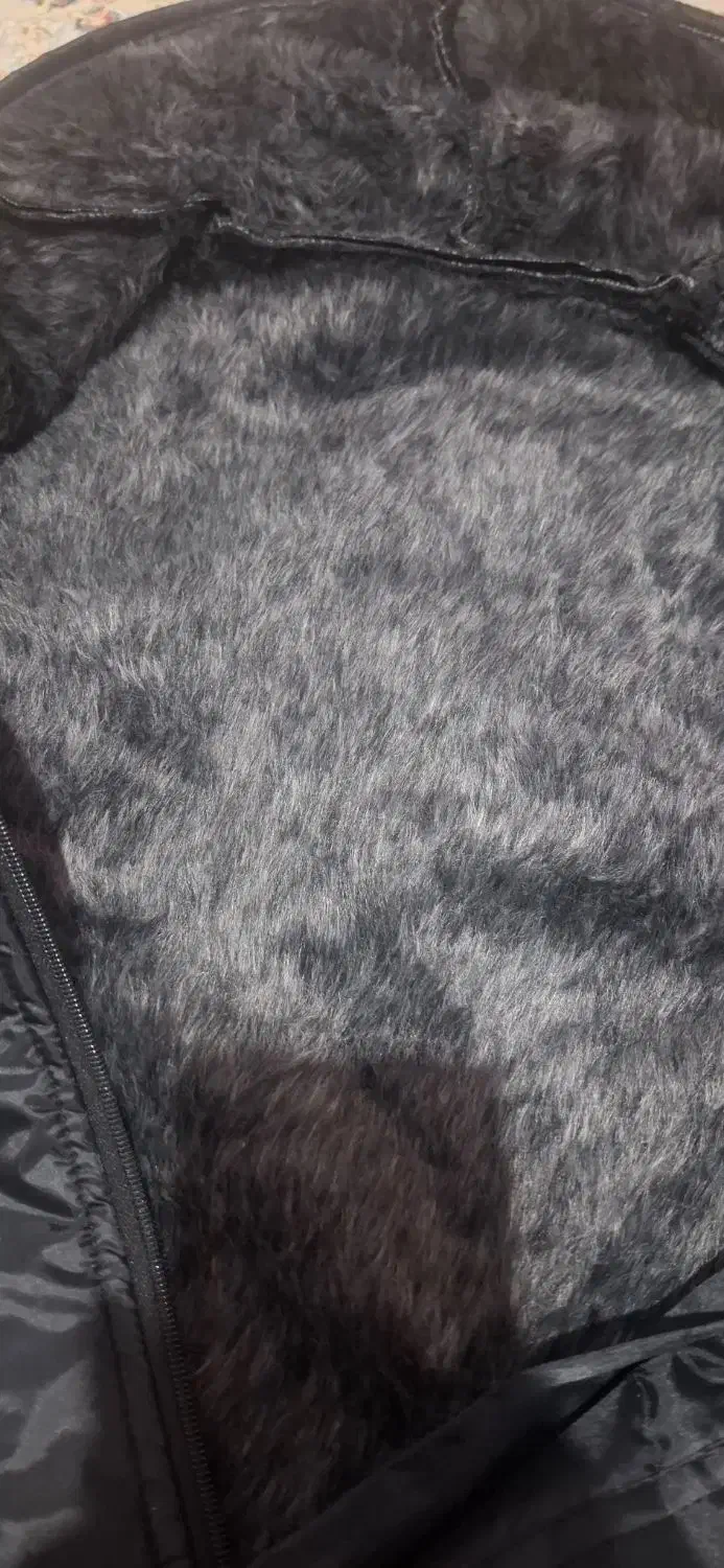 لباس کار|لباس|سنندج, |دیوار