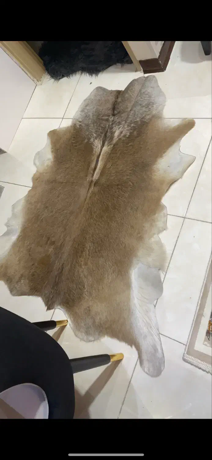 فرش پوست طبیعی درحدنو|فرش|اسلام‌شهر, شهرک قائمیه|دیوار